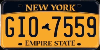 NY license plate GIO7559