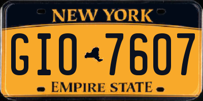 NY license plate GIO7607