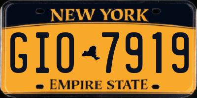 NY license plate GIO7919