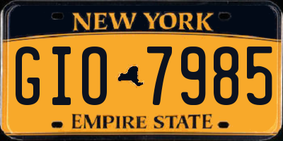 NY license plate GIO7985