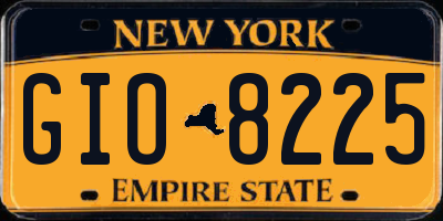 NY license plate GIO8225