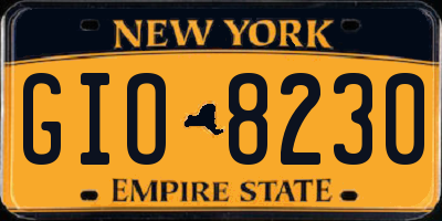 NY license plate GIO8230