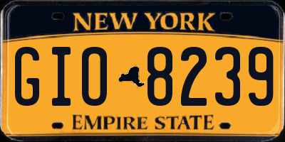NY license plate GIO8239
