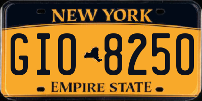 NY license plate GIO8250