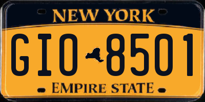 NY license plate GIO8501