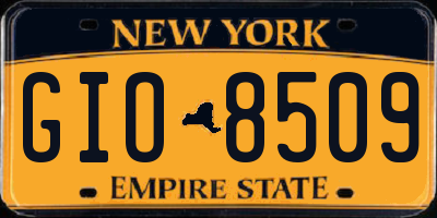 NY license plate GIO8509