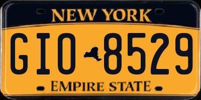 NY license plate GIO8529