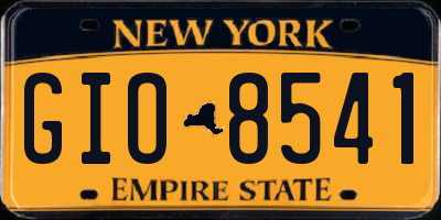 NY license plate GIO8541
