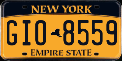 NY license plate GIO8559