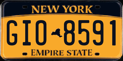 NY license plate GIO8591