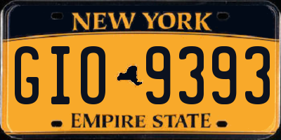 NY license plate GIO9393