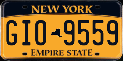NY license plate GIO9559