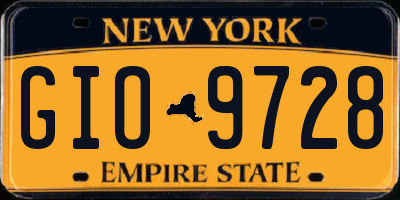 NY license plate GIO9728