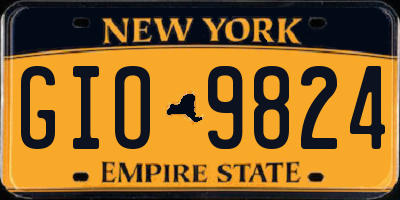NY license plate GIO9824