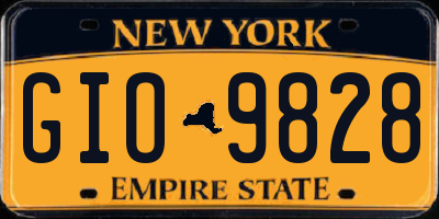 NY license plate GIO9828