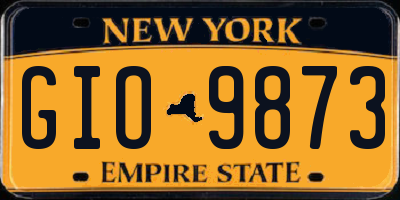 NY license plate GIO9873