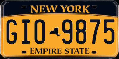 NY license plate GIO9875