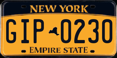 NY license plate GIP0230