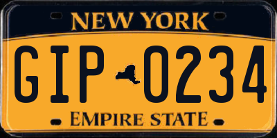 NY license plate GIP0234