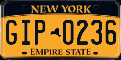 NY license plate GIP0236