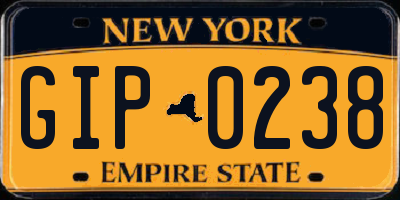NY license plate GIP0238