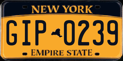 NY license plate GIP0239