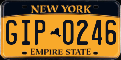 NY license plate GIP0246