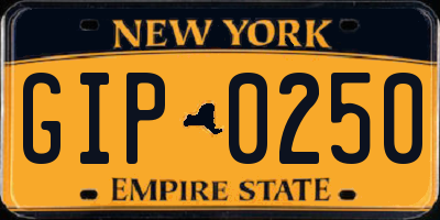 NY license plate GIP0250