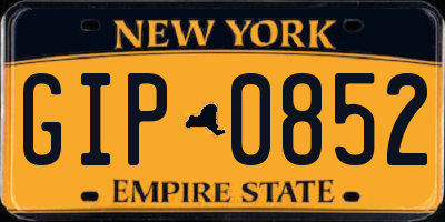 NY license plate GIP0852