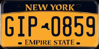 NY license plate GIP0859