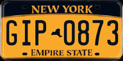 NY license plate GIP0873