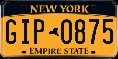 NY license plate GIP0875