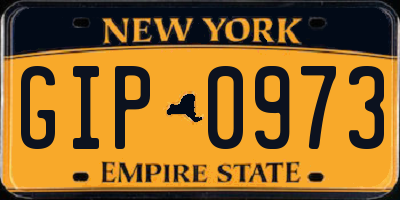 NY license plate GIP0973