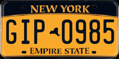 NY license plate GIP0985