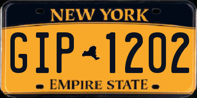 NY license plate GIP1202