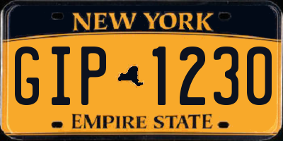 NY license plate GIP1230