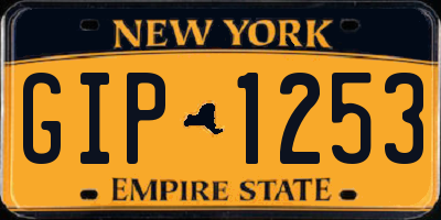 NY license plate GIP1253