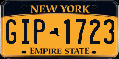 NY license plate GIP1723
