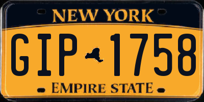 NY license plate GIP1758