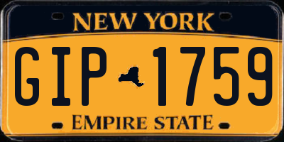 NY license plate GIP1759