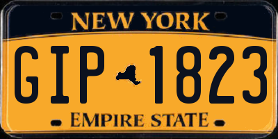 NY license plate GIP1823