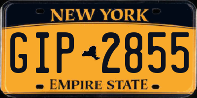 NY license plate GIP2855