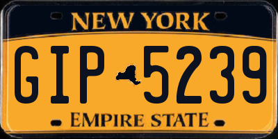 NY license plate GIP5239
