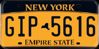 NY license plate GIP5616