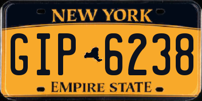 NY license plate GIP6238