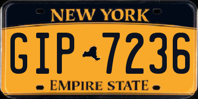 NY license plate GIP7236