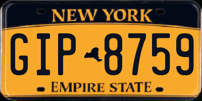 NY license plate GIP8759