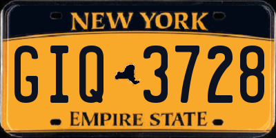 NY license plate GIQ3728