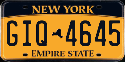 NY license plate GIQ4645