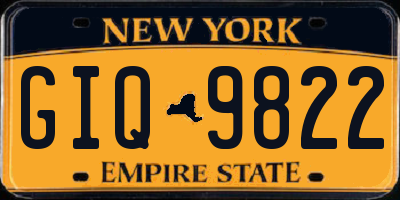 NY license plate GIQ9822